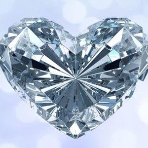 Meet your Posher, Jodi